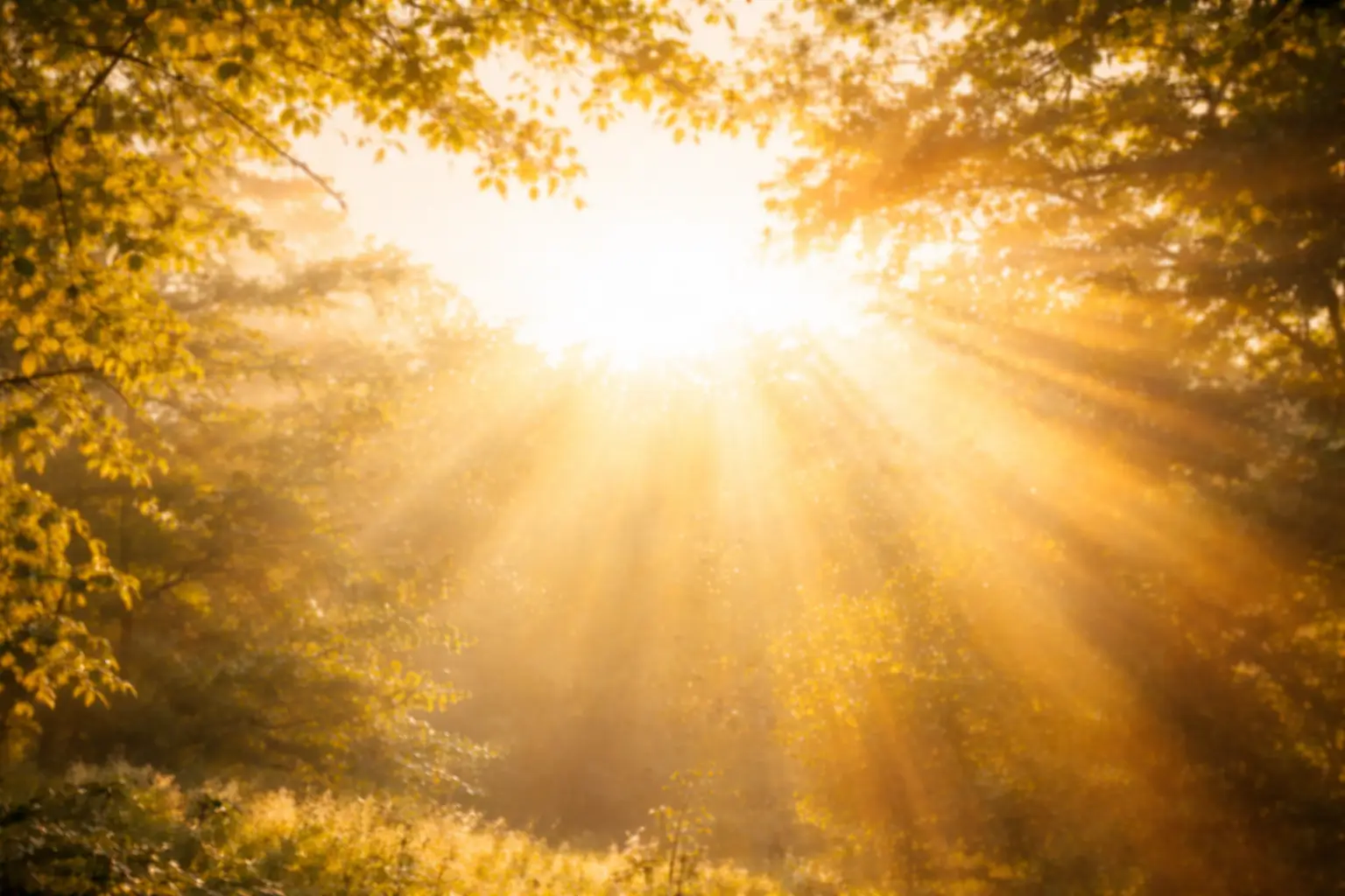 Inspired Recovery Support & Connection